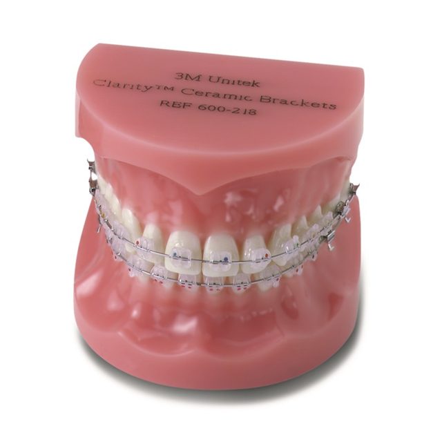 Typodont Clarity 3M Unitek