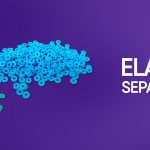 Elástico Separador Orthometric